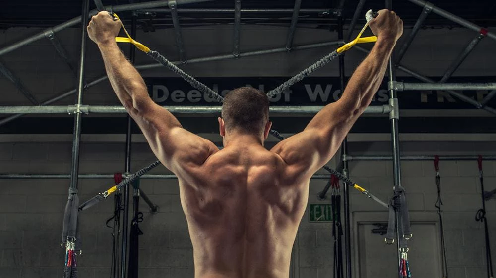 Wholesale ๐ Deals ๐ Crossover Symmetry Shoulder System ๐ ๐ - Image 5